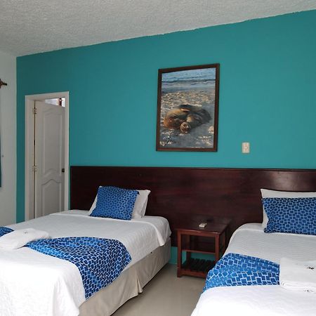 Hotel La Gran Tortuga - ᯤ Starlink Puerto Villamil Eksteriør bilde