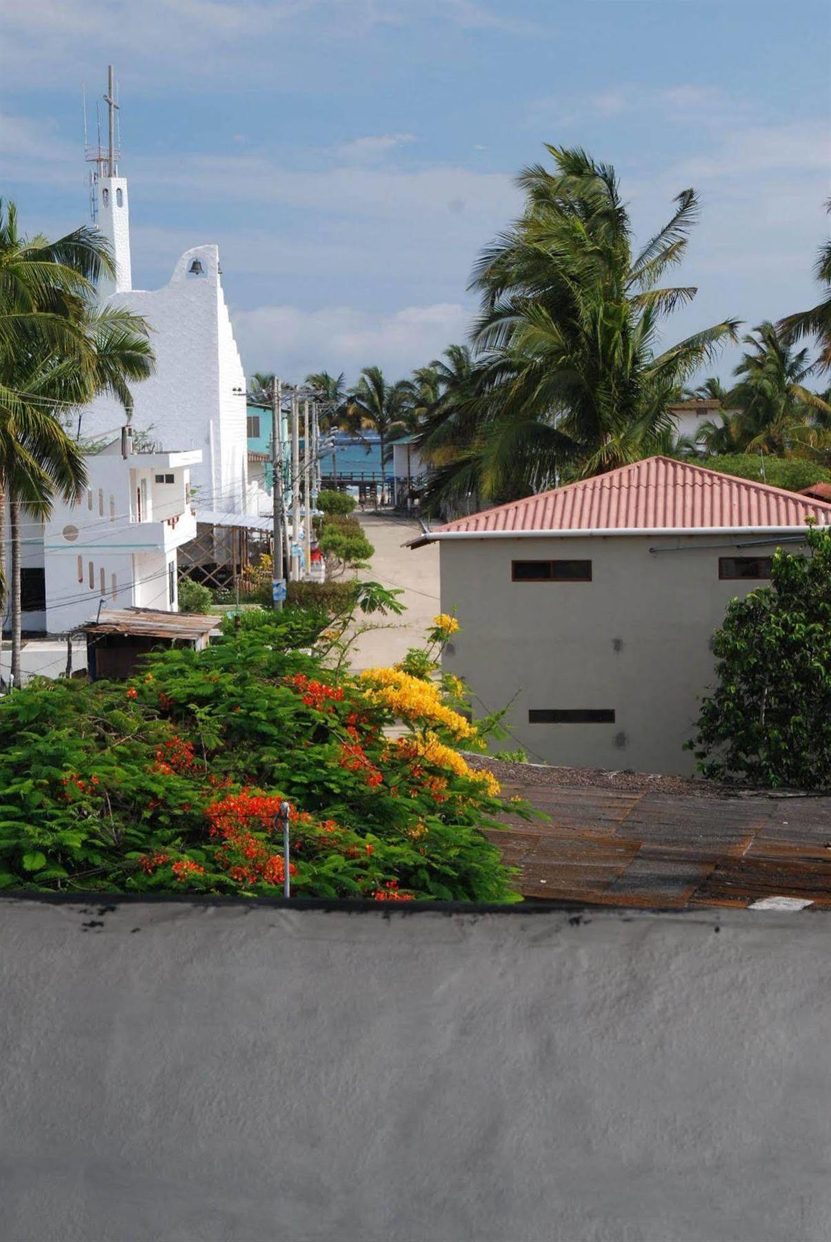 Hotel La Gran Tortuga - ᯤ Starlink Puerto Villamil Eksteriør bilde